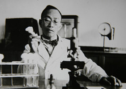 1955年，汤飞凡主持的沙眼研究小组分离出世界上第一株“沙眼衣原体”，命名为TE8，后在国际医学界引起巨大反响